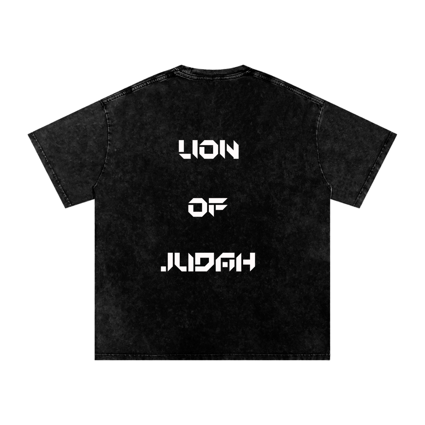 Lion of Judah Oversized Tee