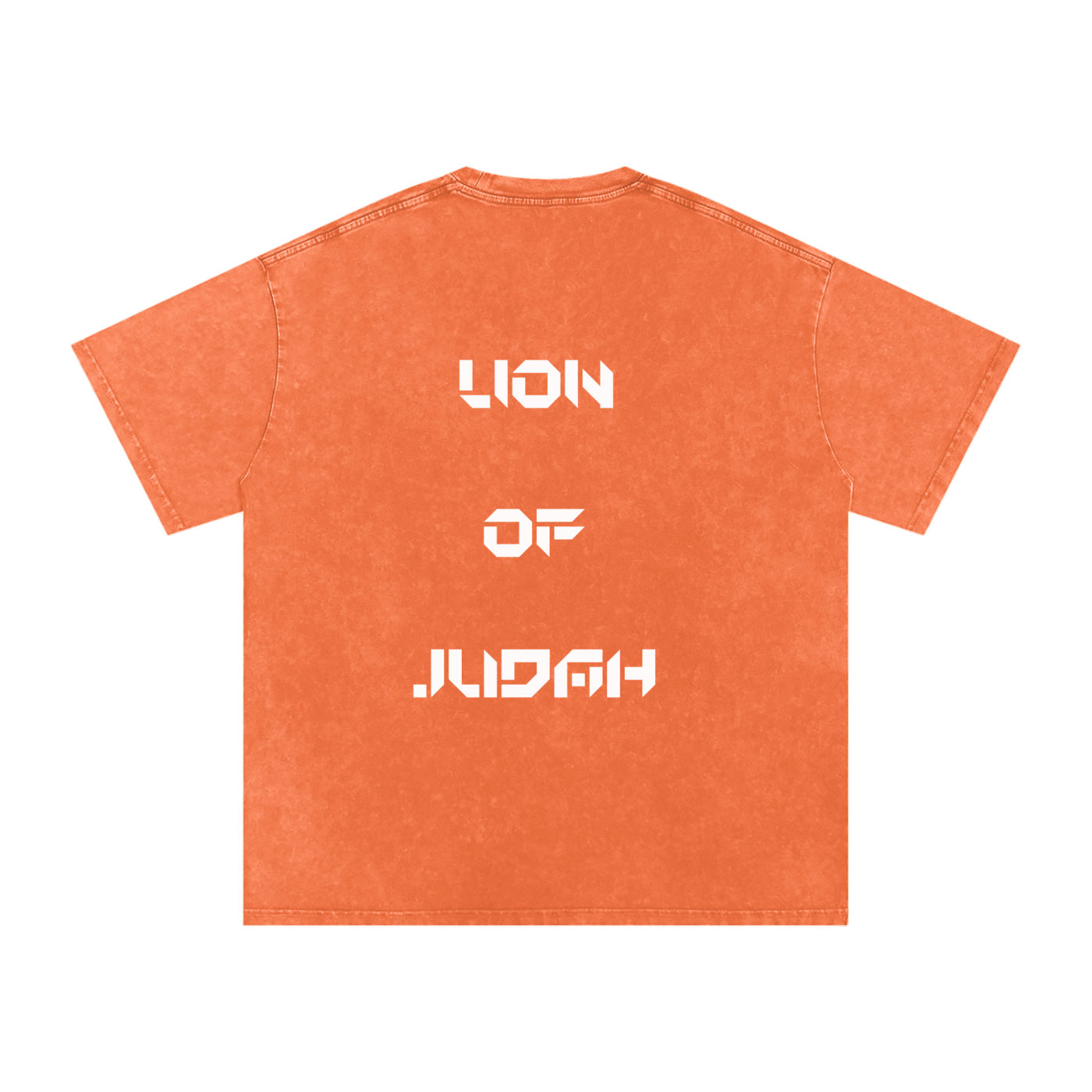 Lion of Judah Oversized Tee