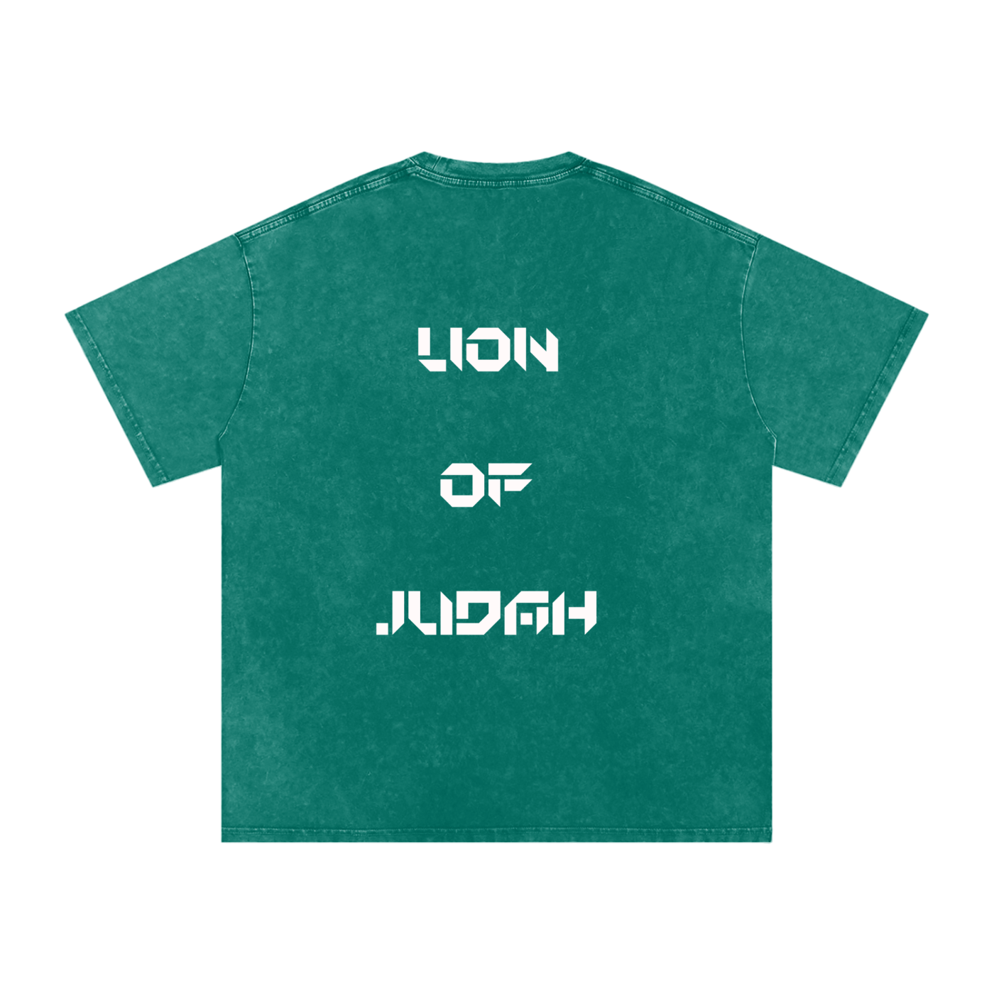 Lion of Judah Oversized Tee