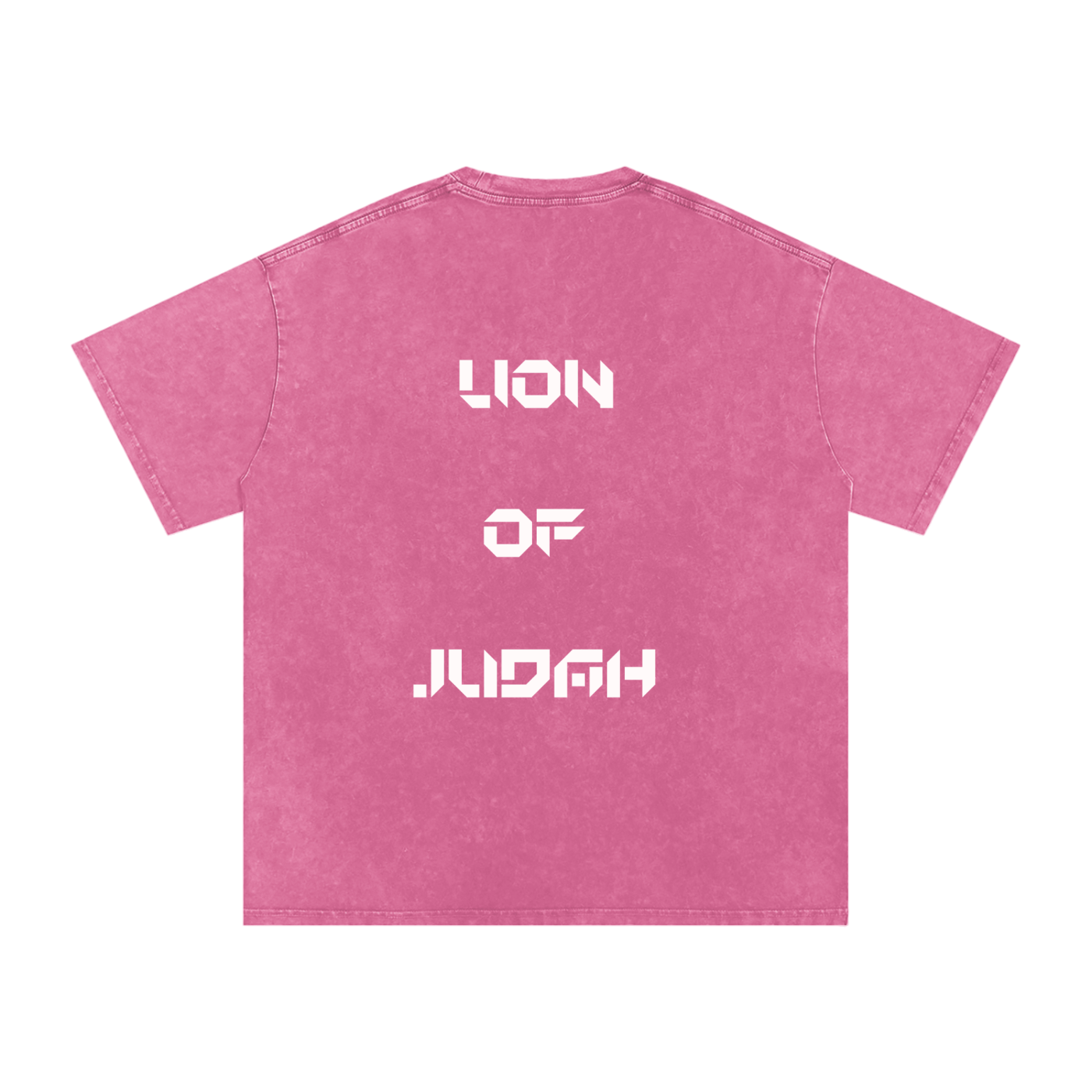 Lion of Judah Oversized Tee